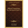 Biblical Commentary on the Book of Job V2