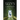 Izzy's Odyssey: A Journey of Life, Magic, and Adventure