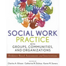 Social Work Practice with Groups, Communities, and Organizations