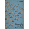 Diseases In the Loft - Pigeon Ailments