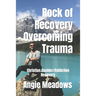 Rock of Recovery Overcoming Trauma: Christian Enabler/Addiction Recovery