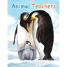 Animal Teachers