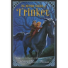 Seven Tales of Trinket