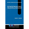 Sensemaking: A Structure for an Intelligence Revolution