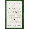 Chasing the White Rabbit: A Discovery of Leadership in the 21st Century