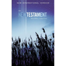 NIV, Outreach New Testament, Large Print, Paperback