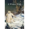 A Winter Walk