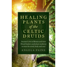 Healing Plants of the Celtic Druids: Ancient Celts in Britain and Their Druid Healers Used Plant Medicine to Treat the Mind, Body and Soul