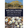Wildflowers of the Lake Mead Region