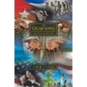 The Cigar Song: A Story of Passion