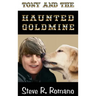 Tony and the Haunted Goldmine