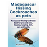 Madagascar hissing cockroaches as pets. Madagascar hissing cockroach book for pros and cons, housing, keeping, diet, care and health.