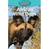 African Wild Dogs