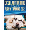 E Collar Training AND Puppy Training 2021 (2 Books IN 1)