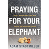 Praying for Your Elephant: Boldly Approaching Jesus with Radical and Audacious Prayer