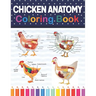Chicken Anatomy Coloring Book: Chicken Anatomy and Veterinary Physiology Coloring Book. The New Surprising Magnificent Learning Structure For Veterin