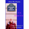 It Is What It Is: Further Adventures of a Western Mystic