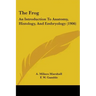 The Frog: An Introduction To Anatomy, Histology, And Embryology (1906)