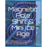 Magnetic Pole Shift & Mini Ice Age: An in-depth explanation of the ongoing Magnetic Pole Shift & a Mini Ice Age caused by the Magnetic Pole Shift