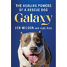 Galaxy: The Healing Powers of a Rescue Dog