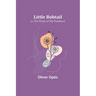 Little Bobtail; or, The Wreck of the Penobscot