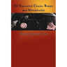Of Fractured Clocks, Bones and Windshields