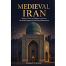 Medieval Iran: Sultans, Saints, and Steppe Lords from the Arab Conquest to the Timurid Renaissance