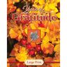 Year of Gratitude - Large Print (Daily Prayer Books)