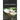 Pleurotus Nebrodensis: A Very Special Mushroom