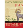 Encountering Jesus in the New Testament