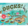 Ducks! (New & Updated)