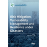 Risk Mitigation, Vulnerability Management and Resilience under Disasters