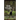 Bear Stalker