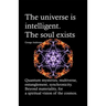 The universe is intelligent. The soul exists.: Quantum mysteries, multiverse, entanglement, synchronicity. Beyond materiality, for a spiritual vision
