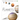 The Planets: The Definitive Visual Guide to Our Solar System