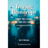 Tracing Raindrops: Above The Clouds, The Sun Still Shines - An Inspirational True Story