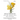 Helichrysum For The Wound That Will Not Heal: The Lost History of Immortelle, The Everlasting Flower, Its Chemistry and Helichrysum Italicum Essential