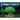 The Woodpeople and the Money Tree