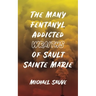 The Many Fentanyl Addicted Wraiths of Sault Sainte Marie