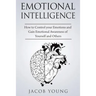 Emotional Intelligence: How to Control your Emotions and Gain Emotional Awareness of Yourself and Others