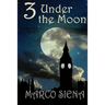 3 Under the Moon