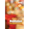 Meditation the Art of Ecstasy