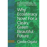 Why Ecoliteracy Now! For a Clean, Green Beautiful Future: Environmental Literacy - The Why Behind Place Based and Outdoor Experiential Learning