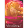 Bellingwood Vignettes #2
