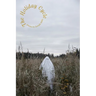 The Holiday Cycle: Poems