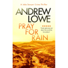 Pray for Rain: A Page-Turning British Detective Crime Thriller with Twists