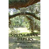 Springbank Papers: Through the Sun's Eyes