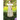 The Clergyman's Wife: A Pride & Prejudice Novel