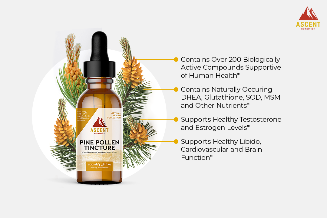 Wild-Harvested Pine Pollen Tincture, 100 ml Bottle by Ascent Nutrition