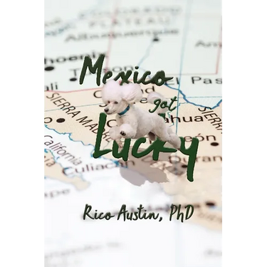 Mexico Got Lucky: Updated Edition